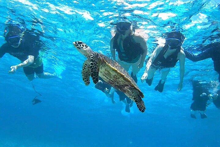 Okinawa Iriomote Island Halve dagtour met zeeschildpadden op het "Wondereiland" gemaakt van koraalfragmenten!Snorkelen op een boot bij Baras Island