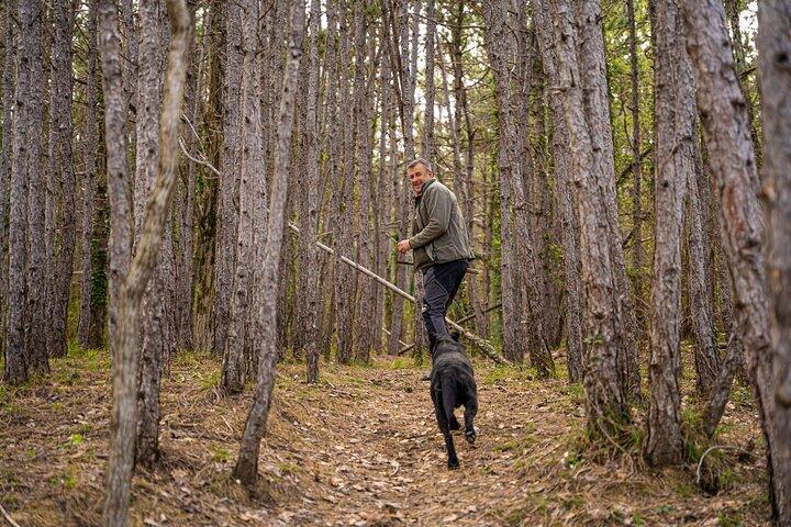 Truffle Hunting and 3-course Truffle Brunch in Motovun
