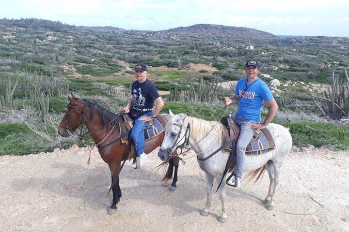 Aruba 2,5 timers ridning for avancerede ryttere