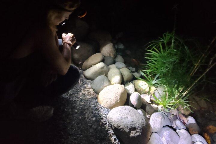 La Fortuna Night Walk - Luiaards, kikkers & wilde dieren (kleine groep)