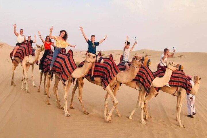 Het hart van de woestijn – Doha Safari & Binnenzee Tour