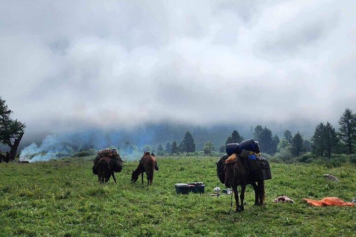 4-dages ridetur til Khagiin Khar Lake