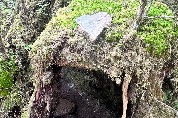 Mooie natuurwandeling op Ketchikan's Ward Creek Trail