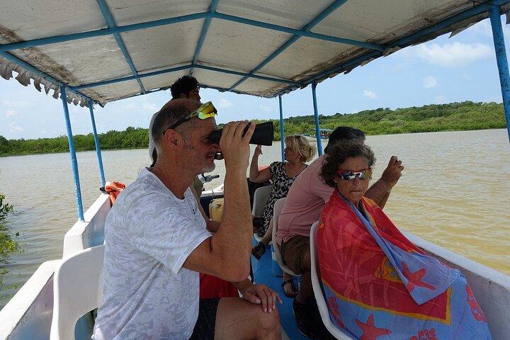 Mérida: Boat Tour Through the Mangroves of Celestún