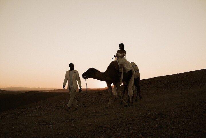 Marrakech : All-in-ONE Agafay CAMEL , DINNER, SHOW & TRANSPORT.