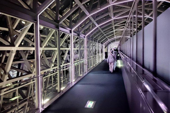 京都： ライトショー付き駅とタワーナイトツアー