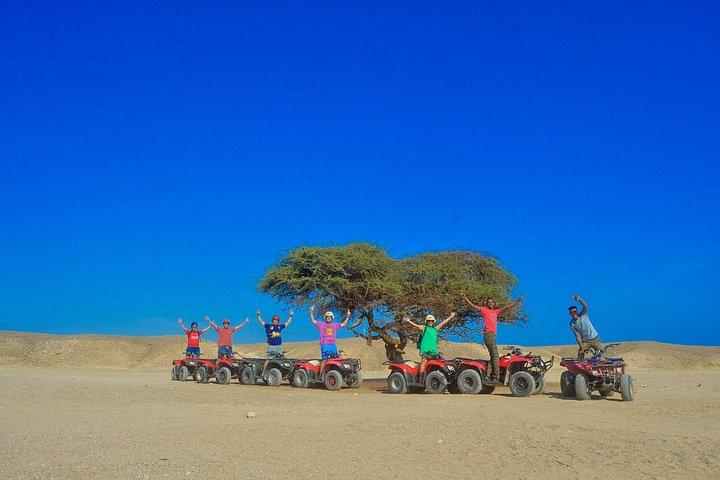 Quad mit Kamelritt & Beduinendorf, Abendessen von Marsa Alam