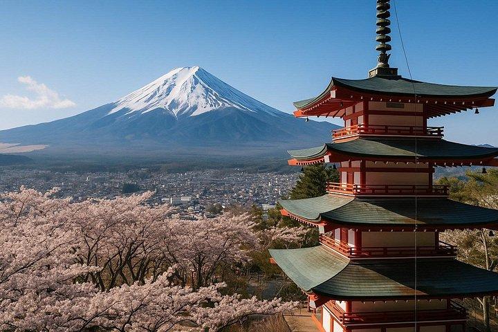 Tokyo: 10-hour Mount Fuji Private Customizable Day Tour
