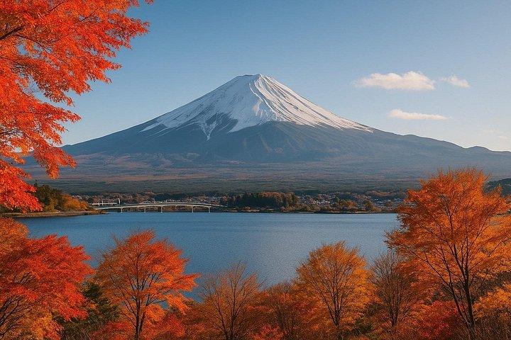 Tokyo: 10-hour Mount Fuji Private Customizable Day Tour