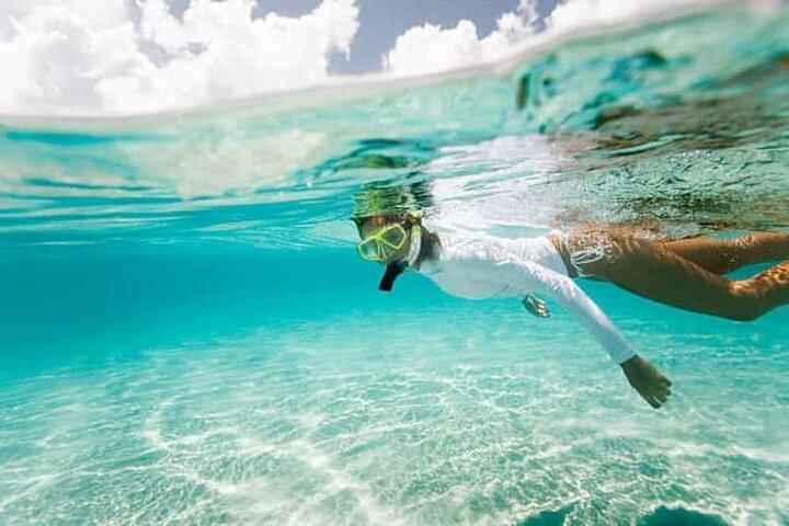Ras Mohammed & White Island : Snorkeling, immersioni facoltative e pranzo