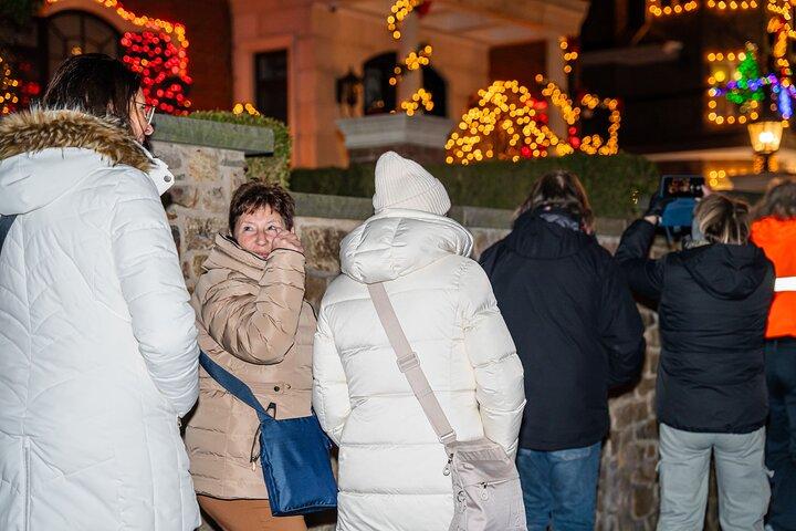 Excursion en bus de luxe à NYC Holiday Lights et Dyker Heights