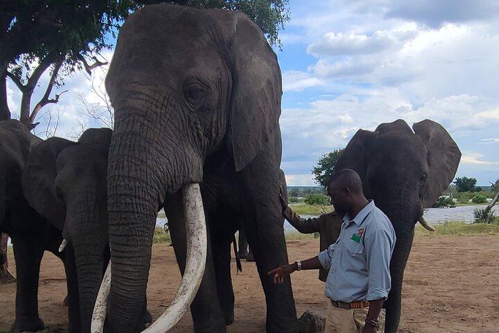 Chobe Day Trip em Botswana