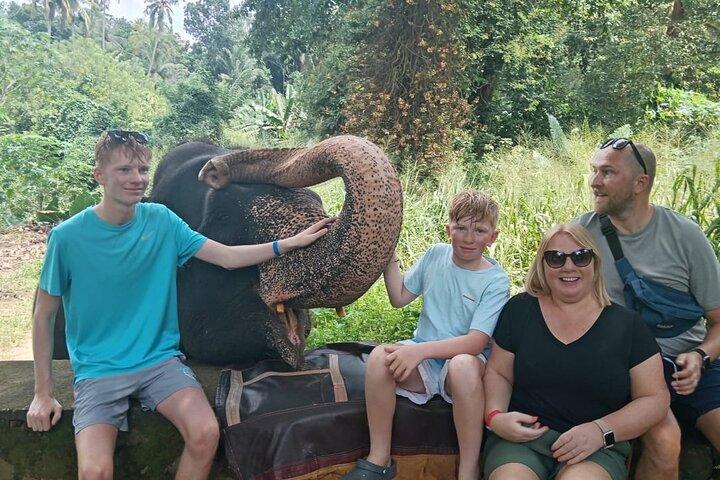 3 Dagen Tour naar Sigiriya,Nuwaraeliya naar Ella vanuit Kandy