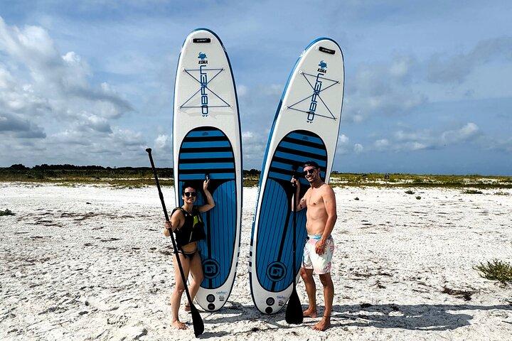 4 uur durende privépontonboottocht door Clearwater Beach