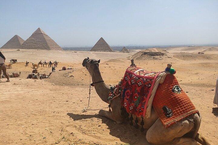 Grand Egyptian museum & Pyramids Ganztagestour VIP