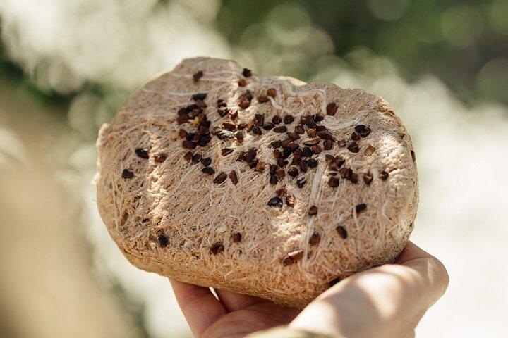 ギリシャの味を味わう: 地図上でスポットして発見