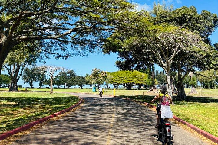 Begeleide e-biketour in North Shore