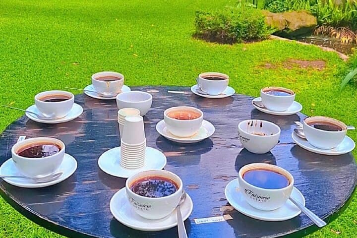 Half-Day Fairview Estate Coffee Farm & Coffee Tasting Tour