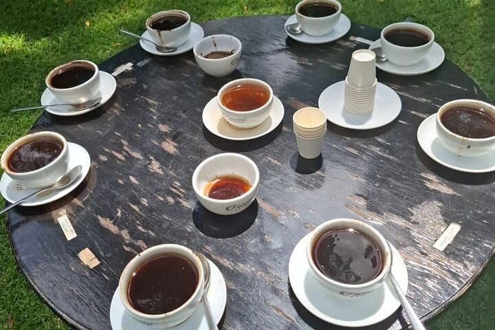 Half-Day Fairview Estate Coffee Farm & Coffee Tasting Tour