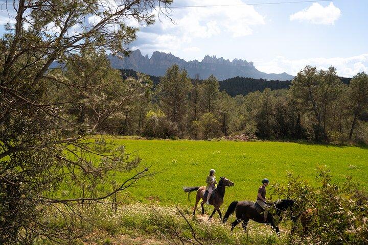 Montserrat Ridning & Kloster – Premium liten grupp