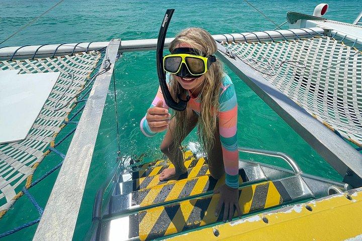 Tour turístico de snorkel y delfines a bordo del Footloose