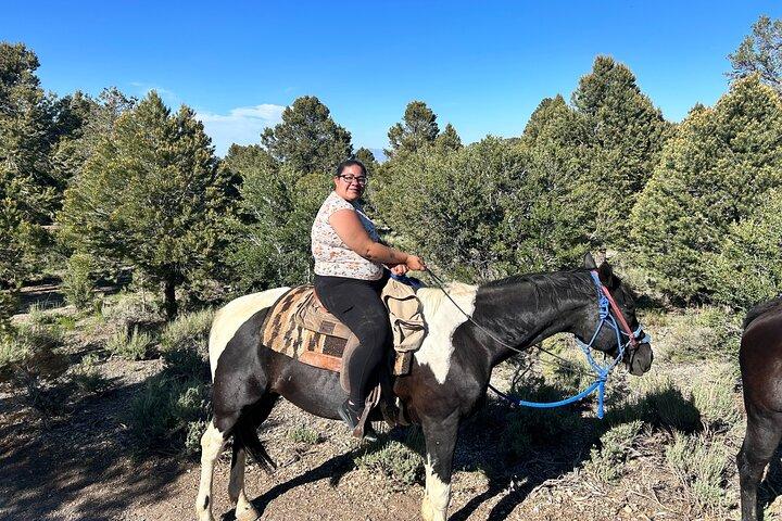 Sunset Horseback Ride med BBQ Middag Las Vegas