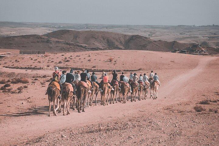 Marrakech Camel Ride og traditionel middag i Agafay-ørkenen