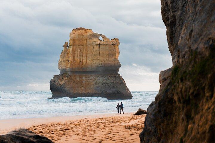 Great Ocean Road 12 Apostles & Rainforest Walk com chá da manhã