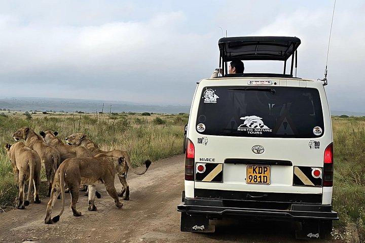 Nairobi National Park, Elephants Orphanage Private Tour