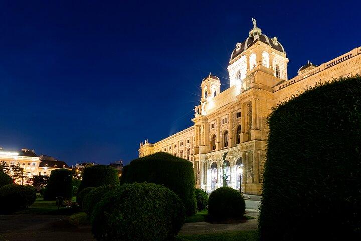 Visite guidée d'une heure à Vienne By Night