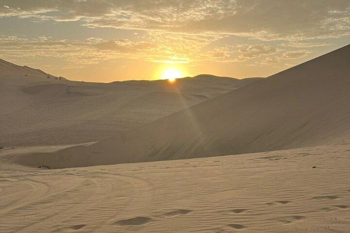 Tour de ensueño: Dia completo en Paracas, Ica y La Huacachina