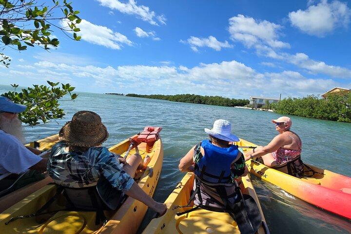 Guidade Mangrove Eco Tours Kajak eller Paddelbräda äventyr