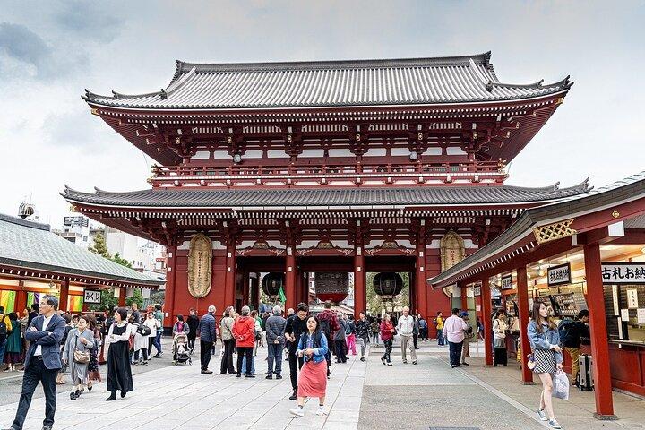 Tour Privado por Tokio: Templos, Cultura y Modernidad