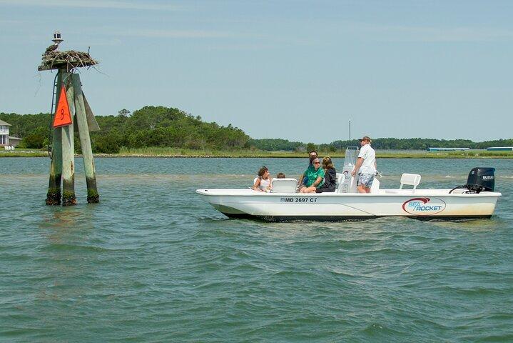 Croisière privée de 1 heure sur l'île d'Assateague à Ocean City