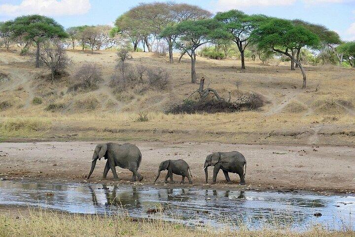 3 giorni Masai Mara Safari Mid Range Alloggio