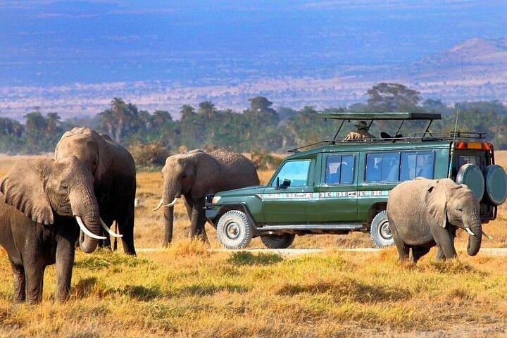 3 giorni Masai Mara Safari Mid Range Alloggio