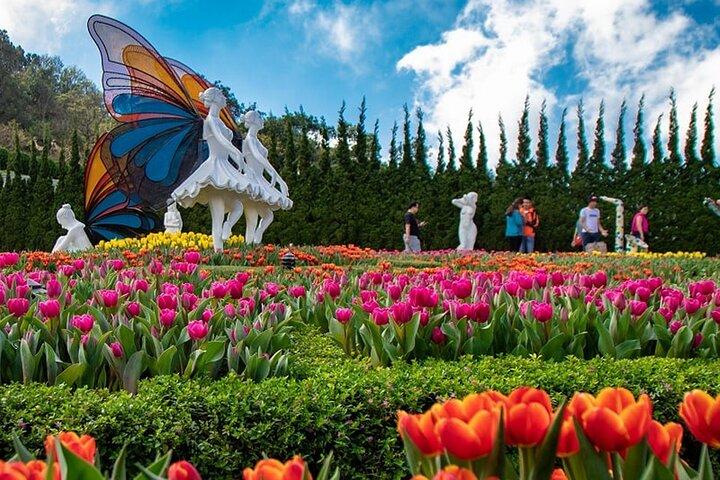 Ba Na Hills Tour saindo de Da Nang: Conquistar o Golden Bridge e o Sun World