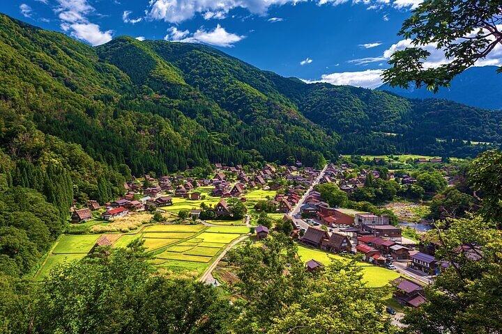 Excursão privada de dia inteiro em Takayama Old Township e Shirakawago