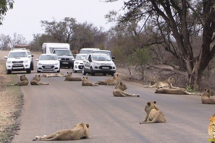 Nairobi National Park Tour with Game Drive and Transfer