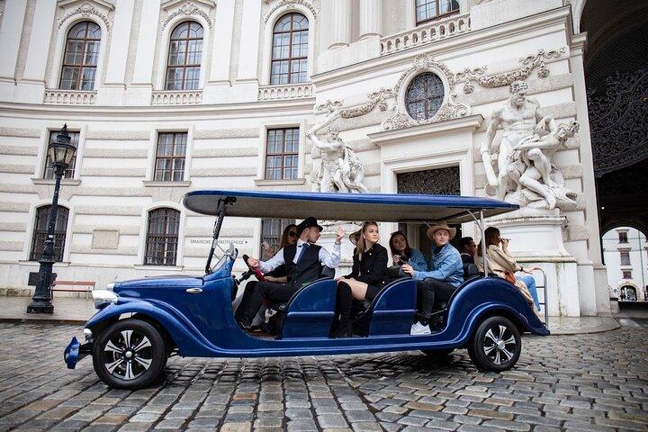 Panoramic Vienna City Tour Gennem de mest berømte vartegn