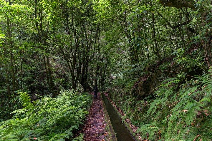 Madeira Levada Hidden Corners - Levada do Rei
