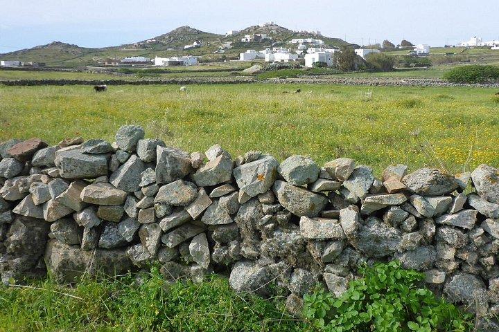 Authentic Mykonos bike tour