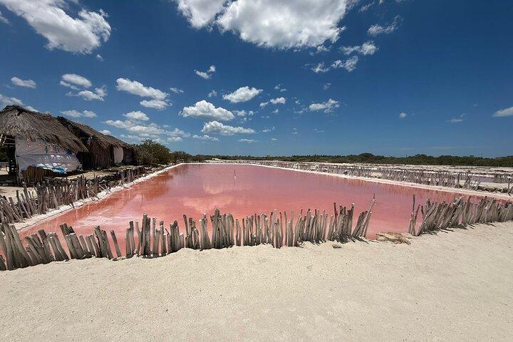 Yucatán Colors Tour: Pink Lakes, Cenote & Beach From Merida