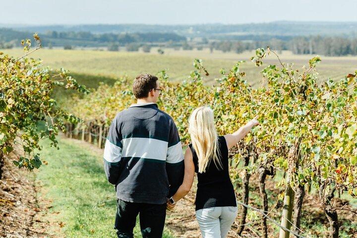 Newcastle : Boutique Hunter Valley Wine Tour