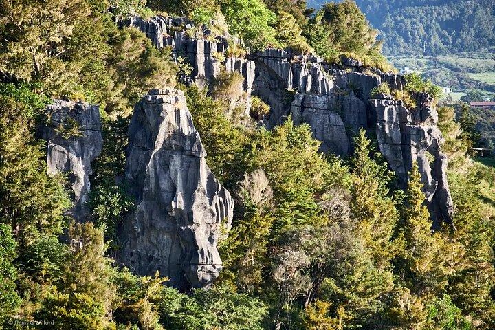 *Popular Tour* - Bay of Islands : Natuuravontuur - 4 uur