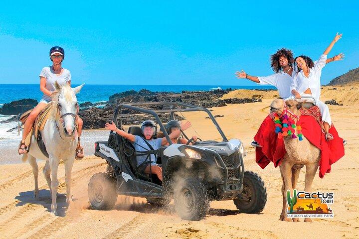 Strand UTV Abenteuer mit kostenlosem Kamel und Reiten