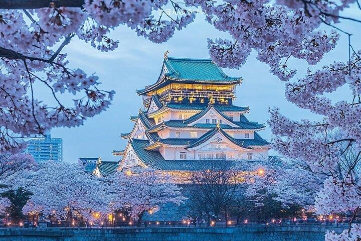 Osaka 8 uur Hoogtepunten Privétour met gelicentieerde gids