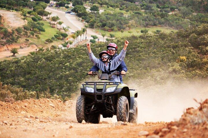 Las Cañadas ATV Tour (mit Hin- und Rückfahrt Luxustransport)