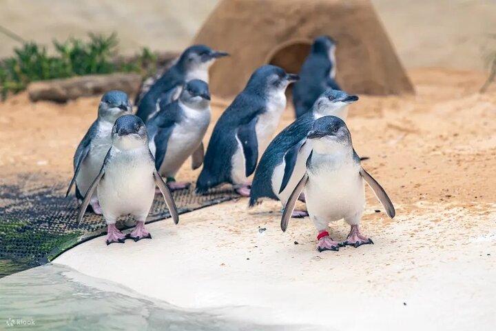 Blue Mountains Day Tour with Zoo and Scenic World Japanese Guide
