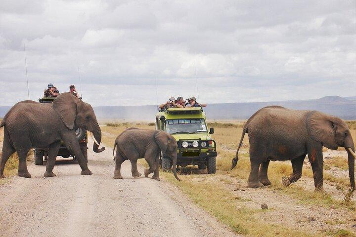 3 Dagar Maasai Mara guidad Safari på 4x4 Land Cruiser från Nairobi